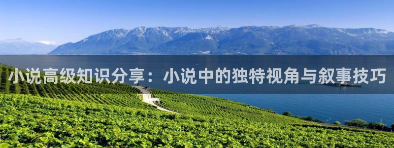 潇湘书院小说网：小说高级知识分享：小说中的独特视角与叙事技巧